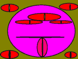 62_17.png