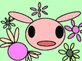 62_26.png
