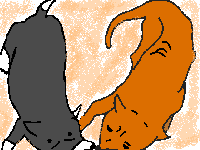 �}02