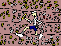 31_17.png
