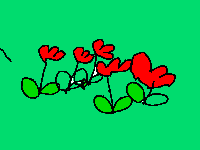11_06.png