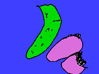 11_20.png
